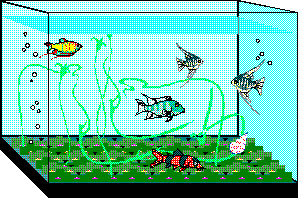 Aquarium.gif (7811 octets)